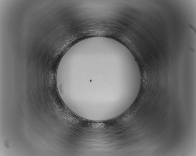 X0000099440355200806061049