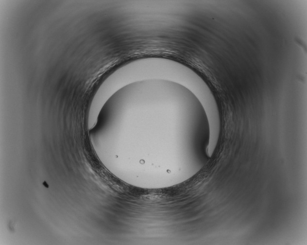 X0000099440356200806061049