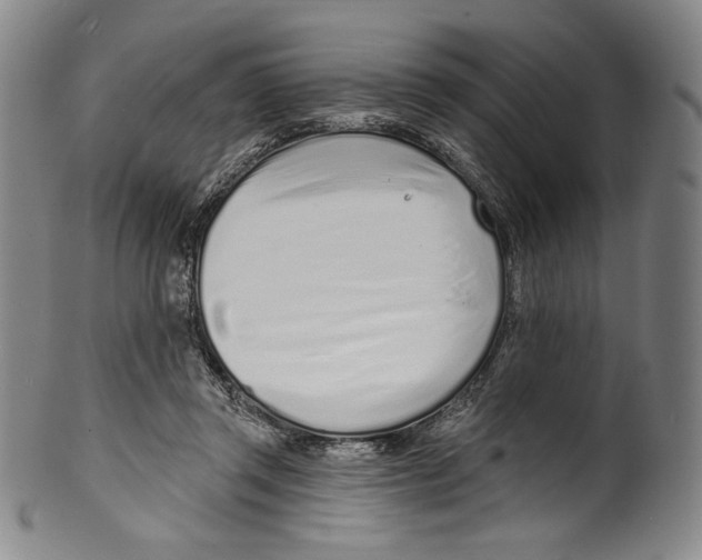 X0000099440357200806061049