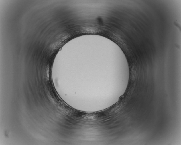 X0000099440358200806061049