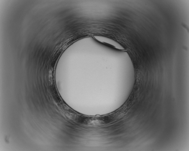 X0000099440360200806061049