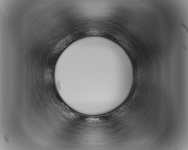 X0000099440361200806061049