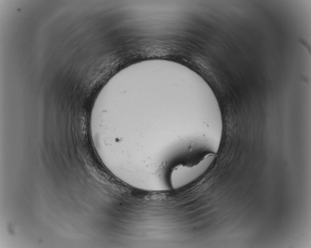 X0000099440362200806061049