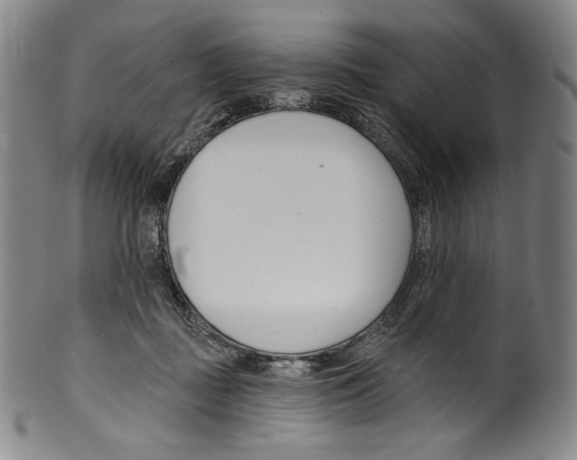 X0000099440363200806061049