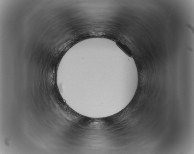 X0000099440364200806061049