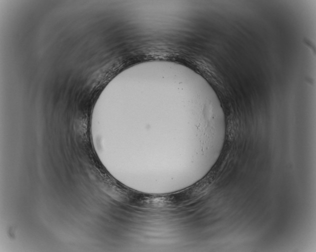 X0000099440365200806061049