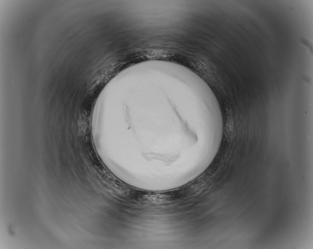 X0000099440367200806061049