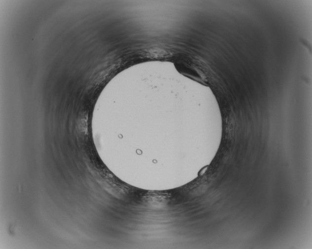 X0000099440368200806061049