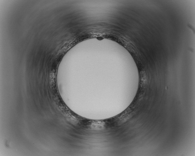 X0000099440369200806061049