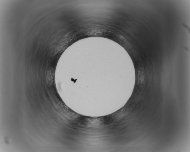 X0000099440370200806061049