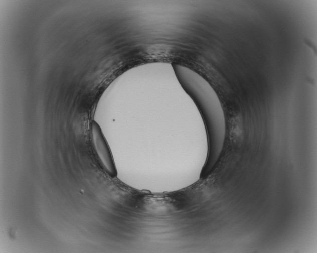 X0000099440372200806061049