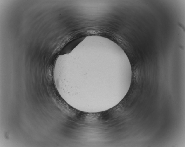 X0000099440373200806061049