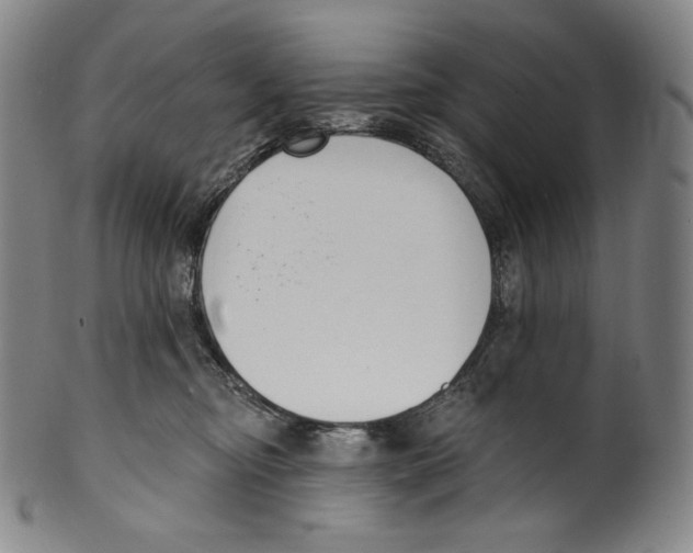 X0000099440374200806061049