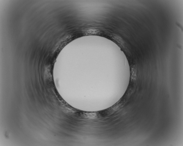 X0000099440377200806061049