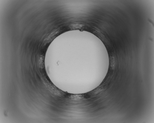 X0000099440378200806061049