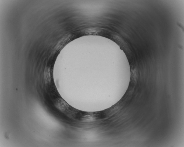 X0000099440381200806061049