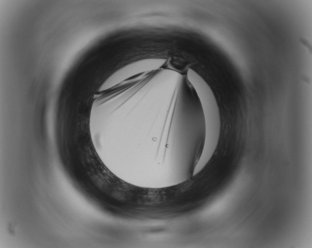 X0000099440383200806061050