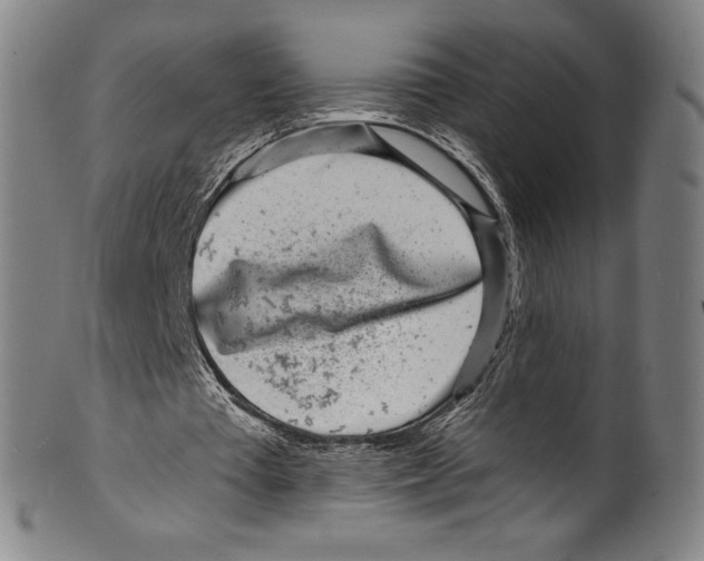 X0000099440385200806061049