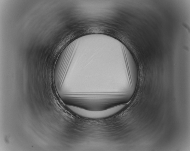 X0000099440386200806061049