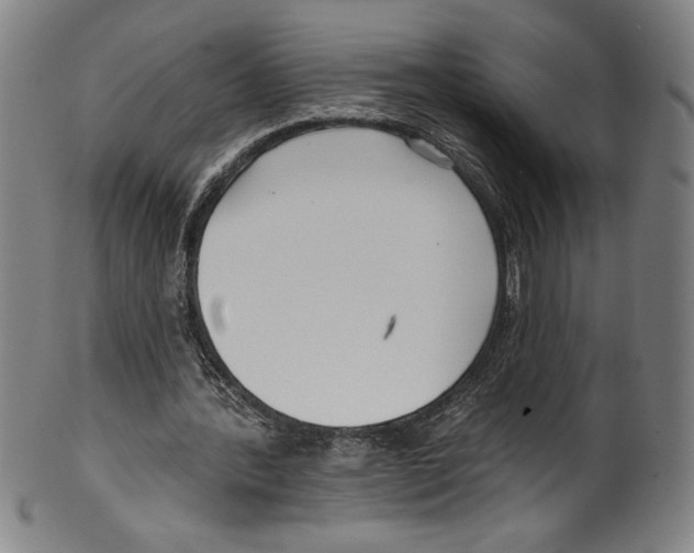 X0000099440388200806061049