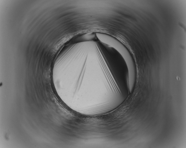 X0000099440389200806061049