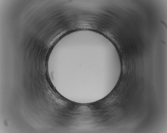 X0000099440390200806061049