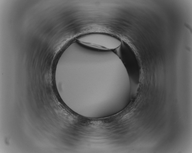 X0000099440391200806061049