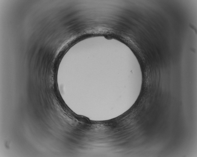 X0000099440392200806061049