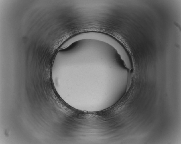 X0000099440393200806061049