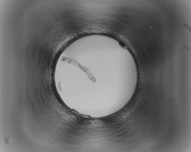 X0000099440395200806061049