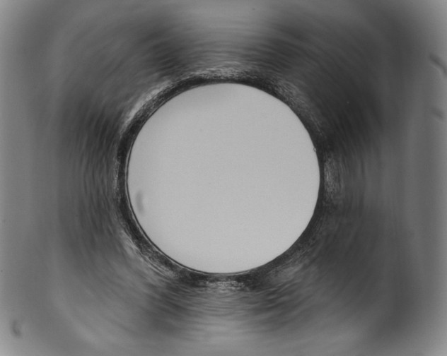 X0000099440396200806061049