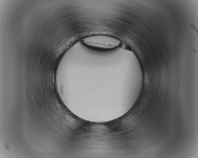 X0000099440397200806061049