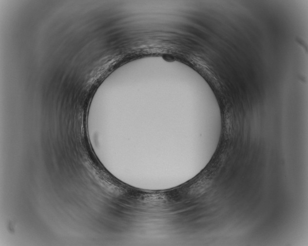 X0000099440398200806061049