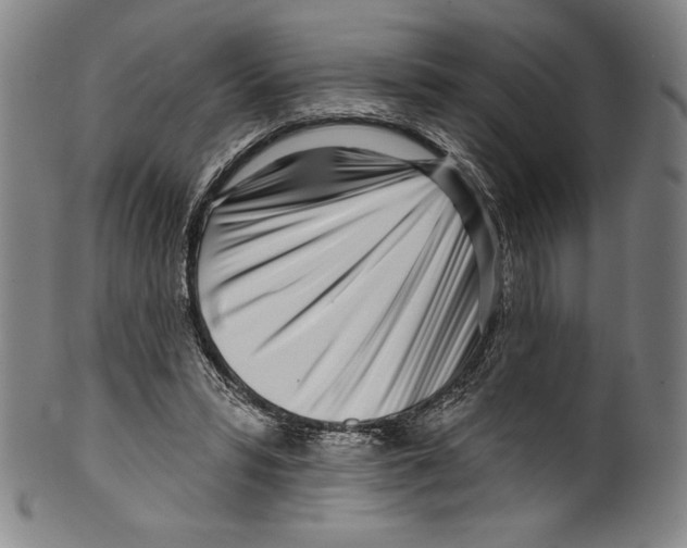 X0000099440399200806061049