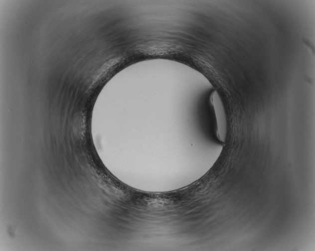 X0000099440400200806061049