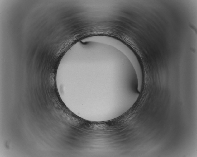 X0000099440401200806061049