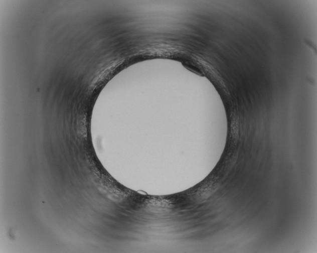 X0000099440403200806061048