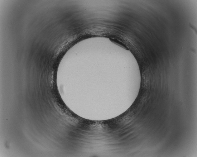 X0000099440404200806061048