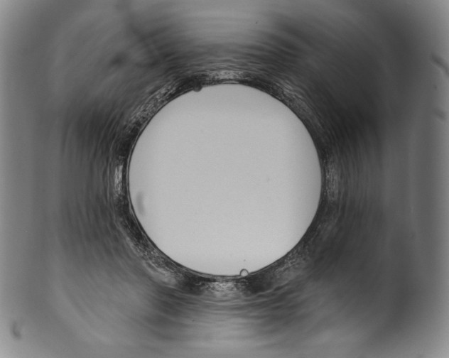 X0000099440406200806061048