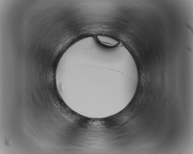 X0000099440407200806061048