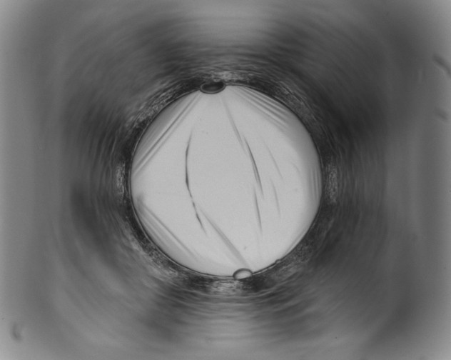 X0000099440410200806061048