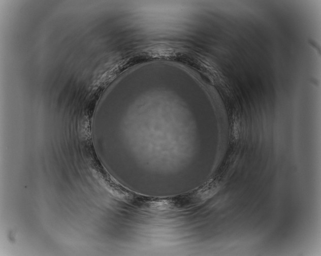 X0000099440411200806061048