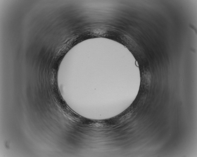 X0000099440412200806061048