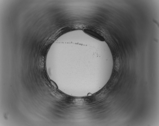 X0000099440413200806061048