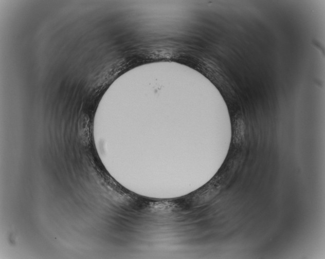 X0000099440414200806061048