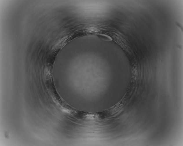 X0000099440415200806061048