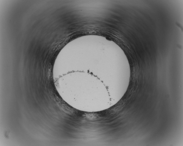 X0000099440417200806061048