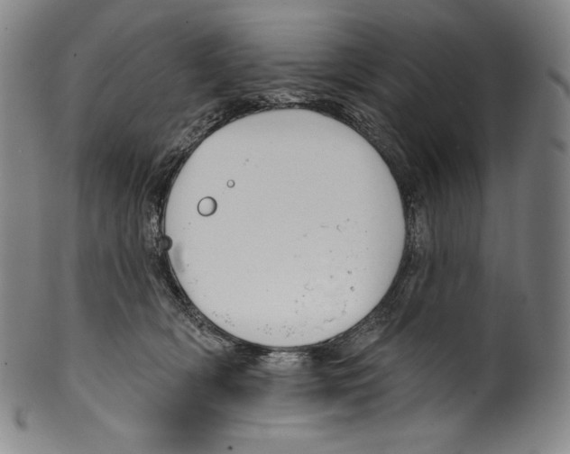 X0000099440418200806061048