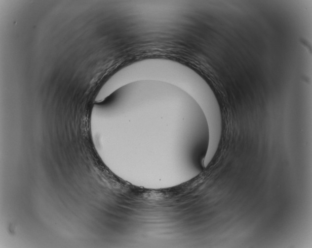 X0000099440419200806061048