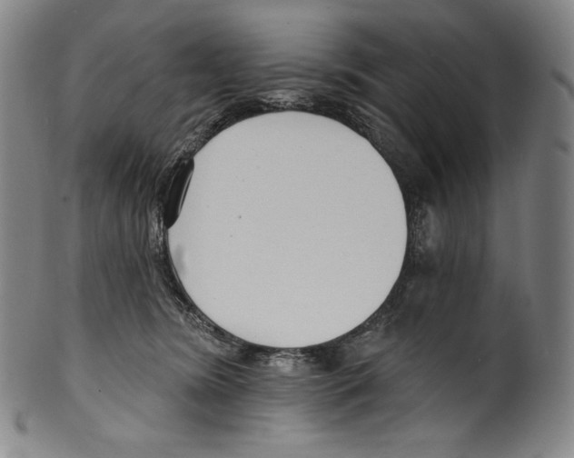 X0000099440420200806061048